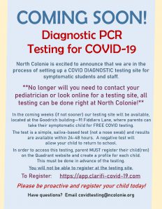 information about diagnostic testing