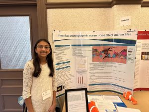 Student researcher at RPI-hosted science Fair