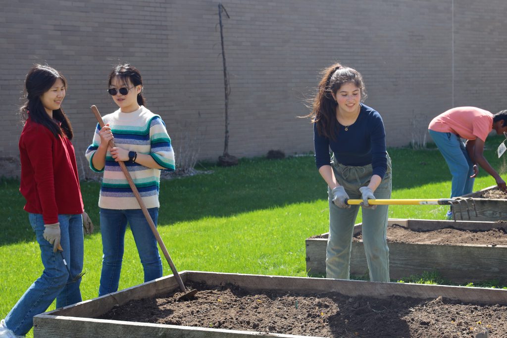 students clearing a garden bed