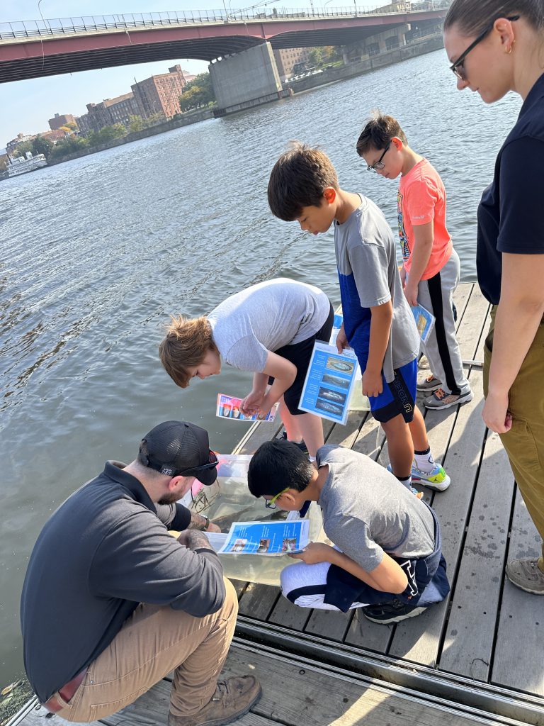 An image of students looking at fish with representatives from the DEC.