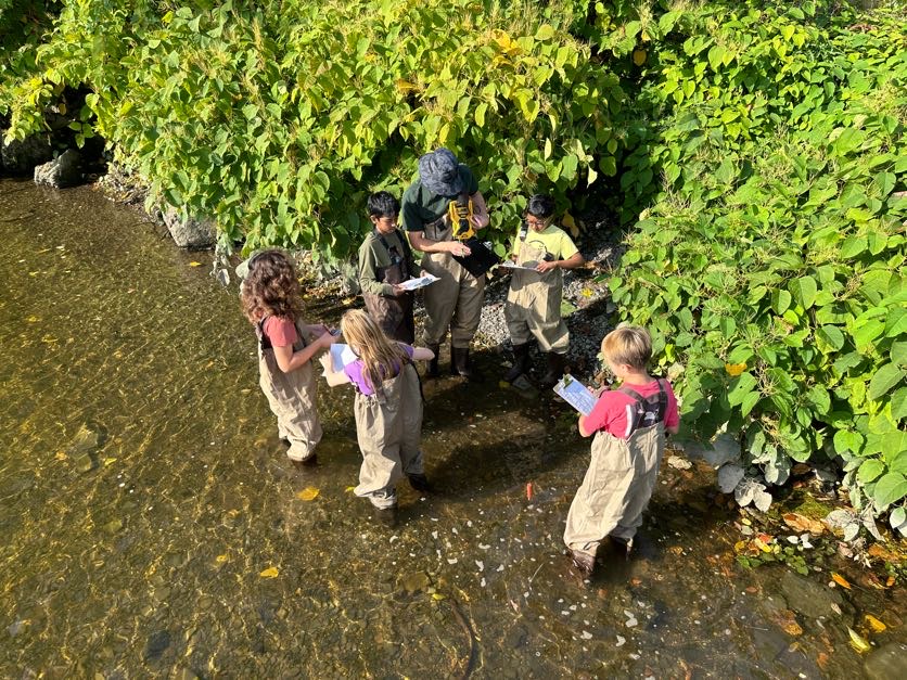 An image of elementary students in waders standing in the Hudson River.