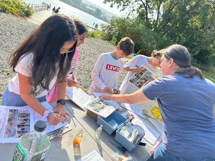 An image of students jotting down data from water samples.