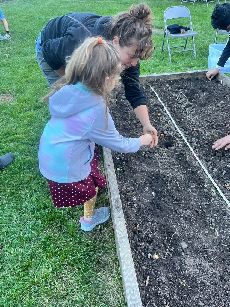 An image of a young student planting garlic in the garden.