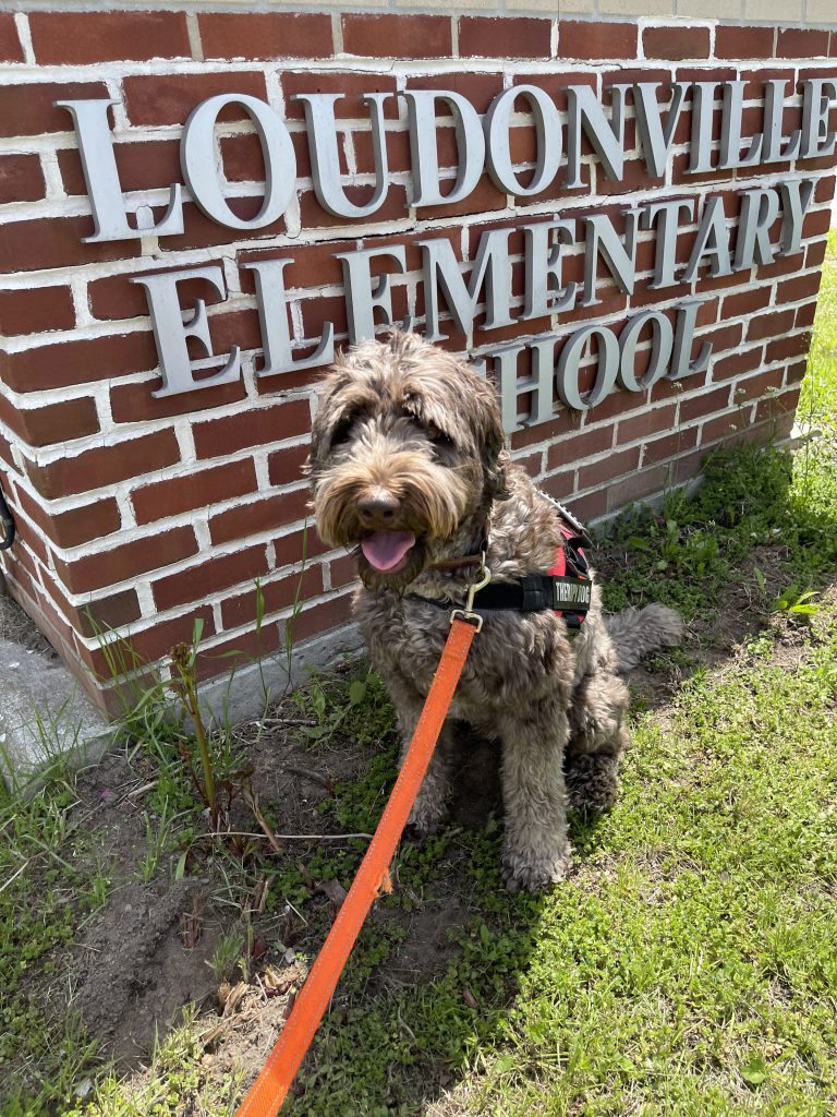 Bunker the trained therapy dog in front of the Loudonville sign